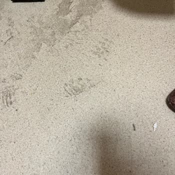 Afyonkarahisar Üniversitesi Hastanesi Gastroloji Polikliniğinde Hijyen Sorunları