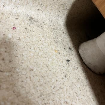 Afyonkarahisar Üniversitesi Hastanesi Gastroloji Polikliniğinde Hijyen Sorunları