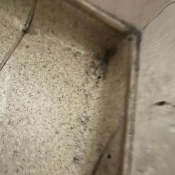 Afyonkarahisar Üniversitesi Hastanesi Gastroloji Polikliniğinde Hijyen Sorunları