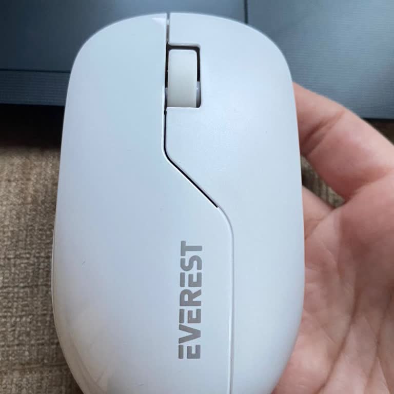 Fişi Kayıp Çalışmayan Kablosuz Mouse İçin Değişim Talebi