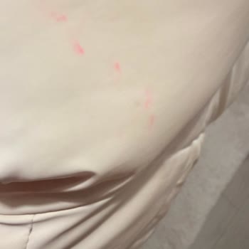 Dry Shine Şubesinde Temizlenmemiş Ürün Ve İade Sözünün İhlali