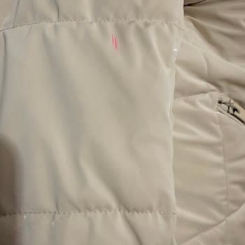 Dry Shine Şubesinde Temizlenmemiş Ürün Ve İade Sözünün İhlali