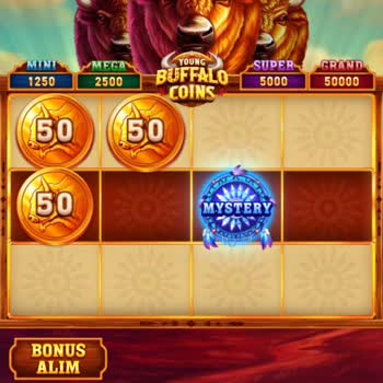 Tango Oyununda Hata Nedeniyle 150K Jeton Sıfırlandı Ve Destek Çözüm Sunmuyor