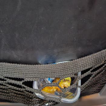 Kirli Otobüs, Gecikmeler Ve Personel Tutumu Nedeniyle Ücret İadesi Talebi