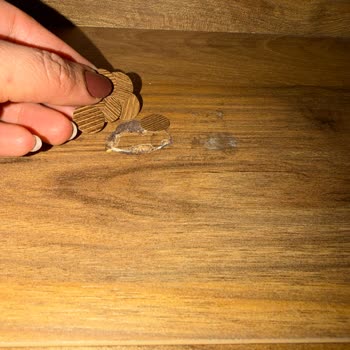 Kelebek Mobilya’dan Aldığım Kusurlu Sehpa İçin Bir Yıldır Çözümsüz Bekletiliyorum