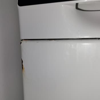 Siemens Çamaşır Makinesinde Erken Dönem Paslanma Ve Garanti Dışı Parça Değişim Talebi