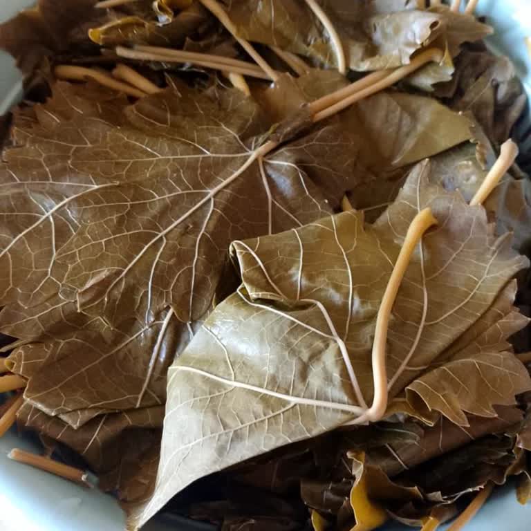 Instagram Satıcısından Kusurlu Ürün Ve İade Sorunu