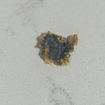 Eti Crax Paketinden Ölü Böcek Çıkması Nedeniyle Güven Kaybı Ve İade Talebi