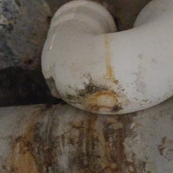 Türkiye Sigorta Banyodaki Su Sızıntısı Nedeniyle Oluşan Hasarı Karşılamıyor