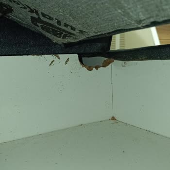 Ayıplı Koltuk Takımı Teslimatı Ve Satış Sonrası Destek Eksikliği