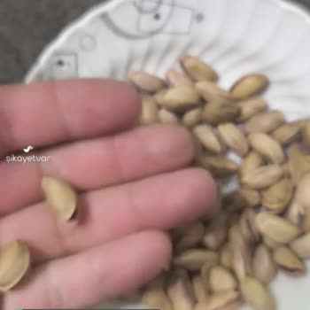 Şok Marketler Kalitesiz Antep Fıstığı Küf Ve Acı Bir Tat