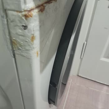 Profilo Çamaşır Makinesi Su Haznesinde Küf Ve Kabarma Nedeniyle Ücretsiz Onarım Talebi