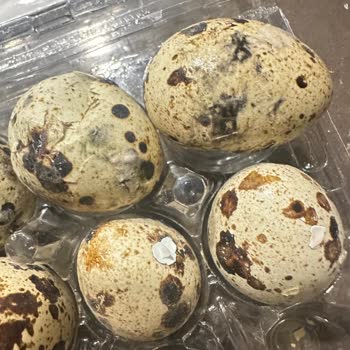 Şok Marketten Alınan Bıldırcın Yumurtalarının Kırık Ve Küflü Çıkmasıyla Hayal Kırıklığı