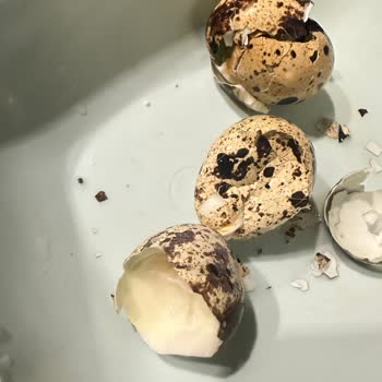 Şok Marketten Alınan Bıldırcın Yumurtalarının Kırık Ve Küflü Çıkmasıyla Hayal Kırıklığı