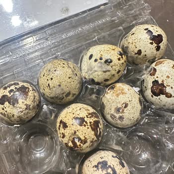 Şok Marketten Alınan Bıldırcın Yumurtalarının Kırık Ve Küflü Çıkmasıyla Hayal Kırıklığı