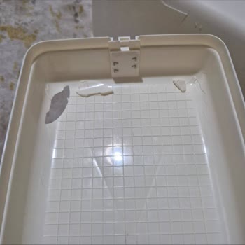 PTT Kargo İle Gönderilen Dikiş Makinesinin Hasarlı Teslimi Ve Mağduriyet