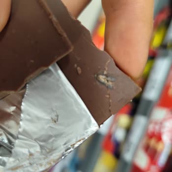 Vince Markalı Ürün İçinde Kelebek Böceği Bulunması Hijyen İhlali