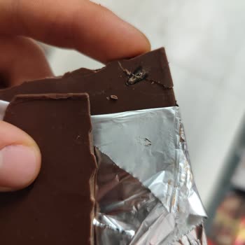 Vince Markalı Ürün İçinde Kelebek Böceği Bulunması Hijyen İhlali