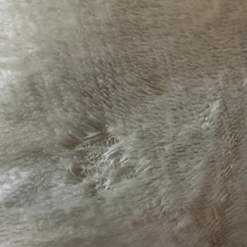 Çamaşır Makinesi Çamaşırları Yırtıyor, Servis Çözüm Sunamıyor, İade Talebi