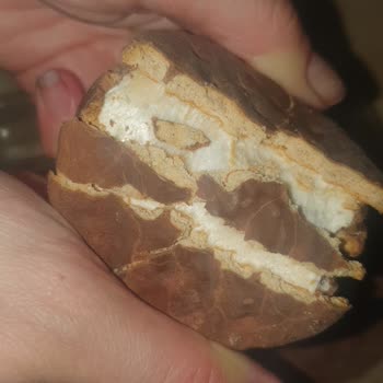 Bozulmuş Ülker Halley Çikolatası Nedeniyle Sağlık Endişesi Ve Ürün Değişimi Talebi