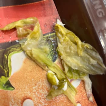 Taksim Burger King Şubesinde Bozulmuş Marul Ve Gıda Güvenliği Sorunu