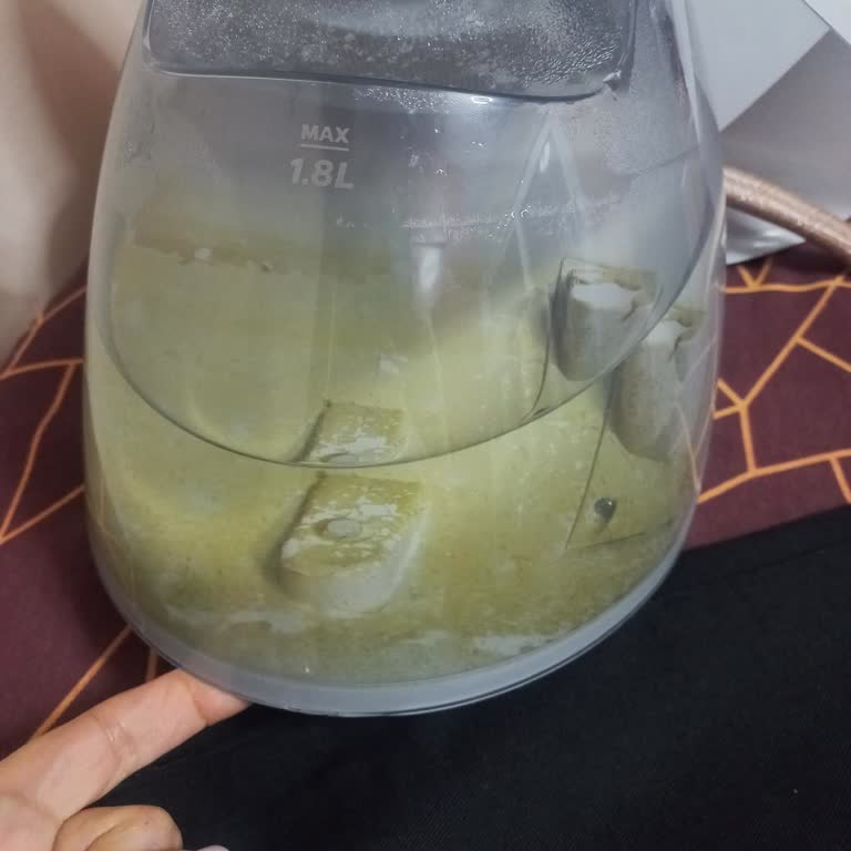 Philips GC7040/10 Buharlı Ütünün Su Haznesi Yosunlanması Ve Yedek Parça Talebi