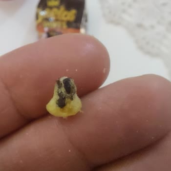 Cheetos Mini Shots Paketi İçinde Siyah Yabancı Madde Bulundu