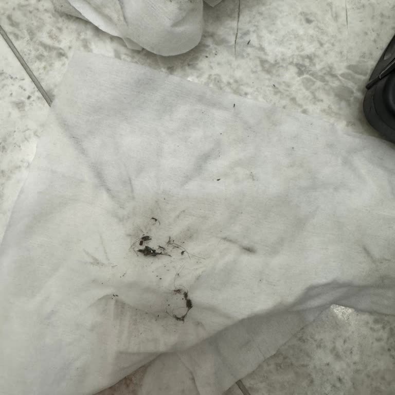 Kirli Fırça Ve Yetersiz Servis Şikayetim