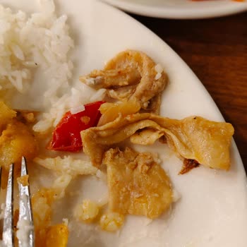 Termal Alanların Kirliği, Yemek Kalitesizliği Ve Çalışmayan Buzdolabı