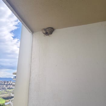 Termal Alanların Kirliği, Yemek Kalitesizliği Ve Çalışmayan Buzdolabı