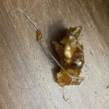 Hurmalı Mix Ürününde Bulunan İp Sağlık Riskine Yol Açtı