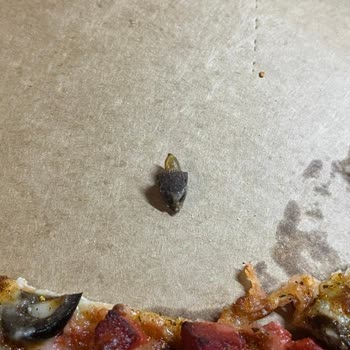 PizzaLazza Zeytin Çekirdeği Sonrası Sağlık Riski Ve İade Reddi