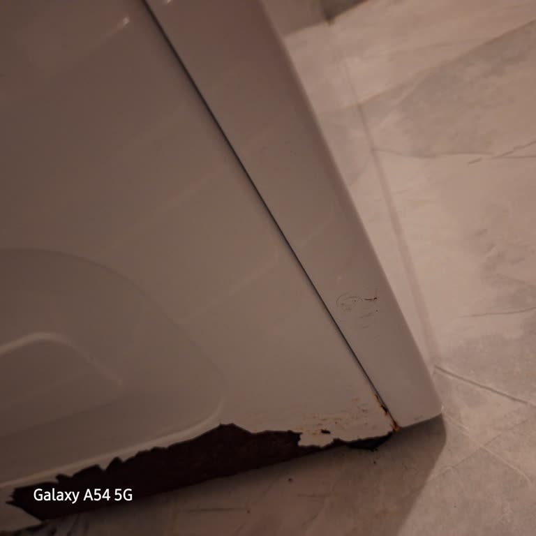 Arçelik Çamaşır Makinesi Paslanma Ve Randevu İptali Sorunu