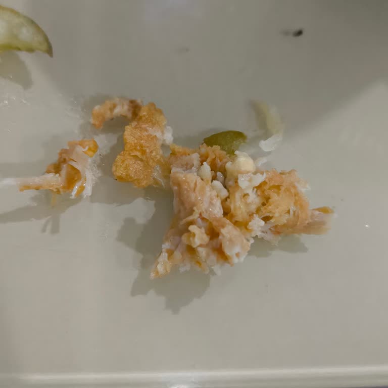 Aksaray Popeyes Şubesindeki Bayat Ve Lifli Burger İçin İade Ve Özür Talebi