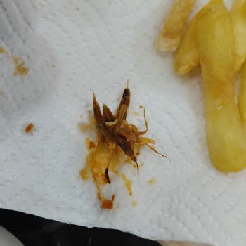 Tat Menemen Harcında Sert Yeşil Domates Parçası, Hijyen Ve Kalite Sorunu