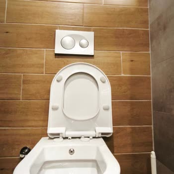 Creavit Klozet Kapaklarında Menteşe Kırılması Ve Destek Sorunu