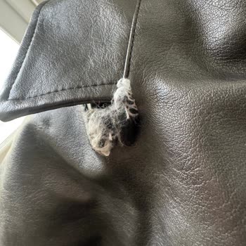 Temu'dan Alınan Deri Cekette Yırtık Ve Olumsuz Destek Yanıtı