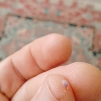 BİM Salamında Plastik Parça Bulunması Güven Sorunu Yaratıyor