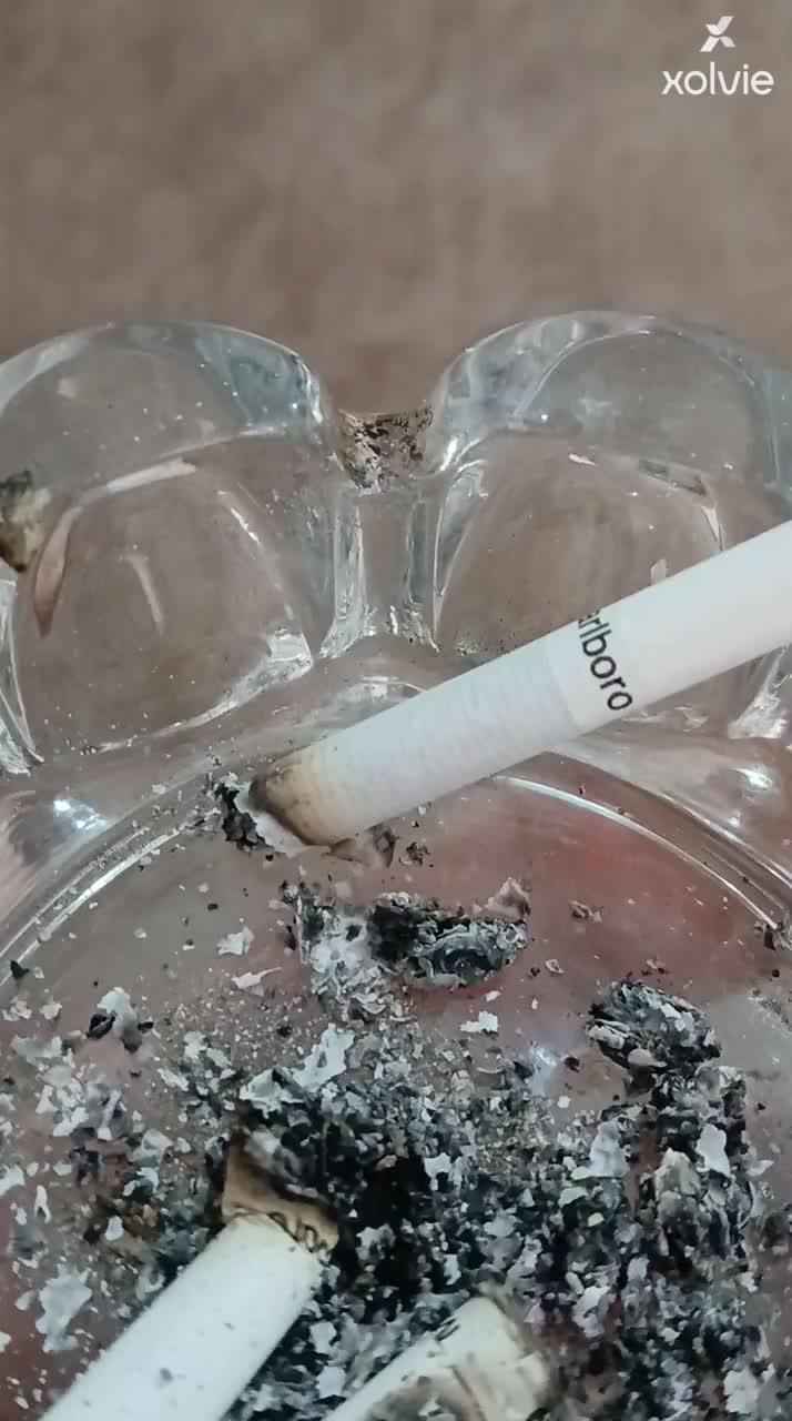 Philip Morris Faces Quality Control Complaint Over Plastic in Cigarette video cover