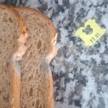 Uno Ekmek Son Kullanma Tarihi Henüz Geçmemiş Olmasına Rağmen Ürünün Küflü Çıkması