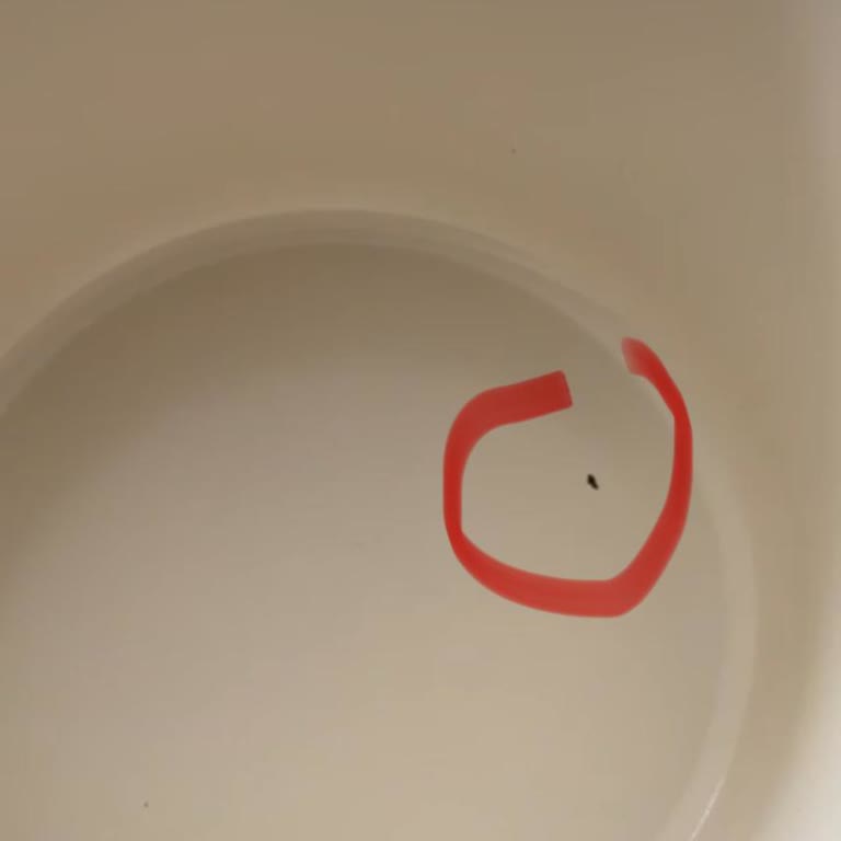 Emsan Crystal 11 Parça Tencere Setinde 2 Ayda İç Kaplamanın Soyulması Ve Deforme Olması