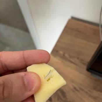 BİM Kaşar Peynirinde Sert Plastik Parça Boğazı Tehdit Etti