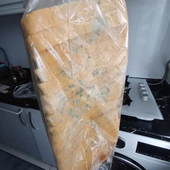 Mantarlaşmış Ekmek İçin Fişsiz Değişim Reddi Ve Kaba Üslup