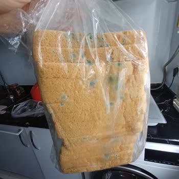 Mantarlaşmış Ekmek İçin Fişsiz Değişim Reddi Ve Kaba Üslup