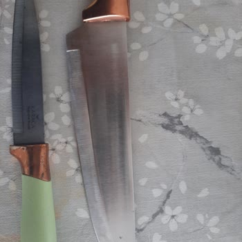 Karaca Gusto Bıçak Setinde Erken Paslanma Ve Ayıplı Ürün Şikayeti