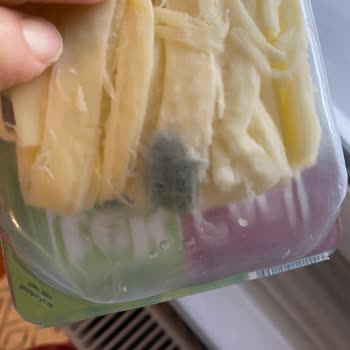 Açılmamış Pakette Küflü Peynir, Sağlık Endişesi Ve Güven Kaybı