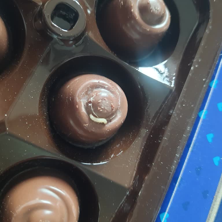 Ülker Ece Çikolatasında Canlı Kurt Bulunması Gıda Güvenliğini Sarsıyor