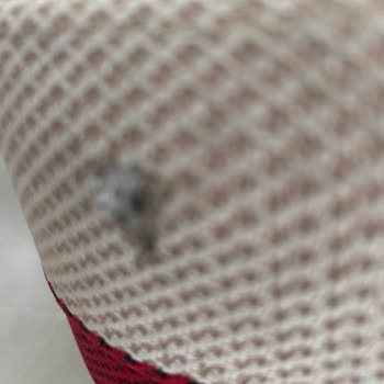 Avcılar Nakliyat (Kayseri)'tan Aldığımız Haksız Ücret ve Zararların Telafisi Talebi