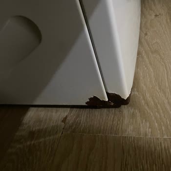 Deterjan Gözünden Su Sızması Ve Korozyon Nedeniyle Ücretsiz Parça Değişimi Talebi
