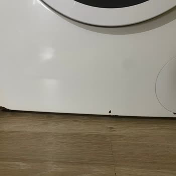 Deterjan Gözünden Su Sızması Ve Korozyon Nedeniyle Ücretsiz Parça Değişimi Talebi